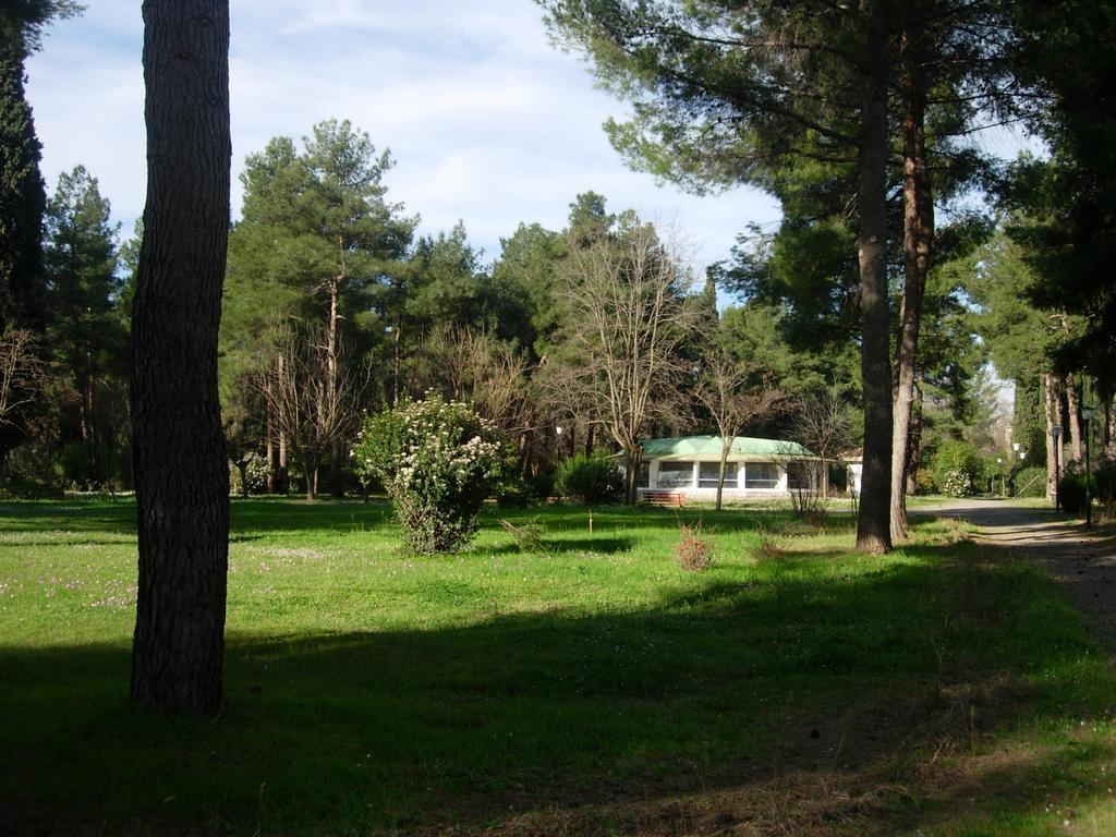 Hotel Prigipikon Suites And Sofites Loutra Ipatis Buitenkant foto